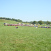 Pennsic 040