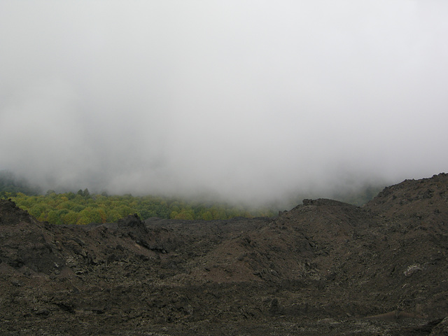 Wolken - Lava - Bäume