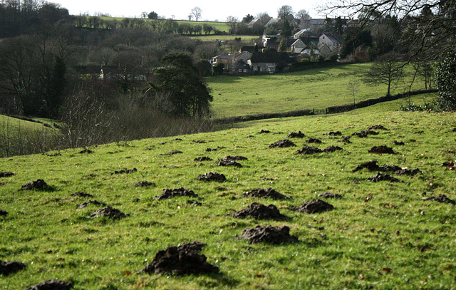 molehills on the edge of the village