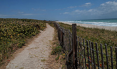 Blowing Rocks Preserve