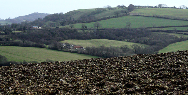 stony fields