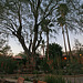 Hacienda Hot Springs Inn - DHS Spa Tour 2011 (8805)
