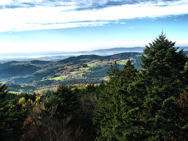 Sicht vom Waldwipfelweg