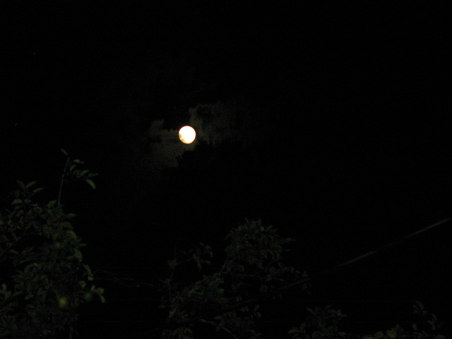 Moon -  w/flash 008