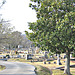 Myrtle Hill Cemetery -