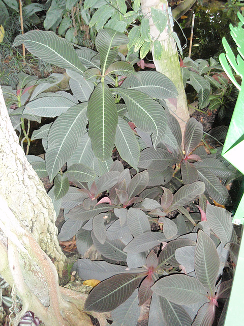 P8270018