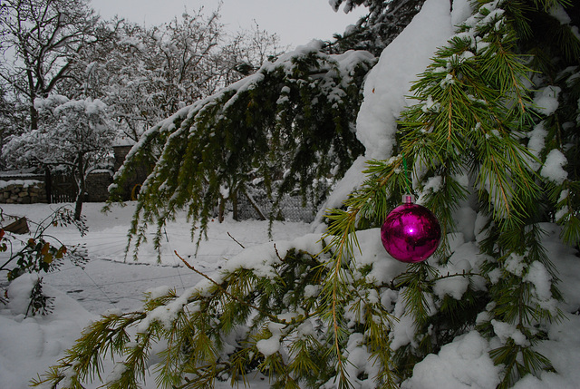 Prélude de Noël