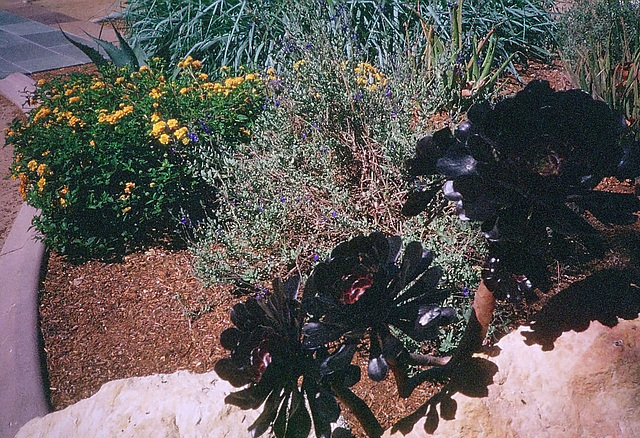 MWD Landscaping (0011A)