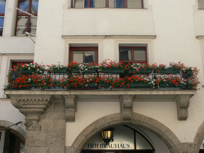 München - Hofbräuhaus