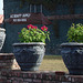 A.Z. Beauty supply botanical eyesight / Trio botanique A.Z. Beauty supply - Indianola, Mississippi. USA - 9 juillet 2010 - Recadrage.
