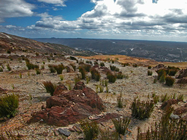 Landscape near Rosebery