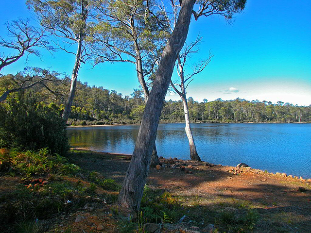 Little Pine Lagoon