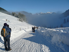 Wanderung vom Spitzingsee 1020m bis zur Unteren Firstalm 1320m