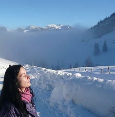 Wanderung vom Spitzingsee 1020m bis zur Unteren Firstalm 1320m