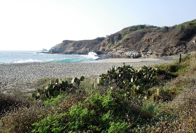 Punta Cometa