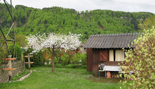 Die Hütte