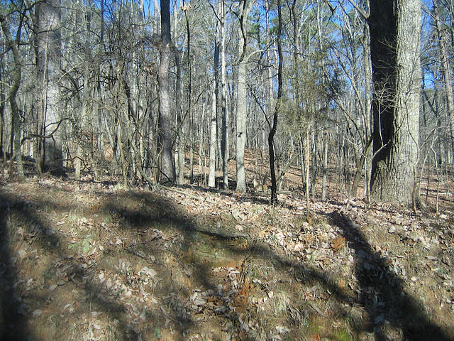 .. Berry College Campus..near the old mill 1306