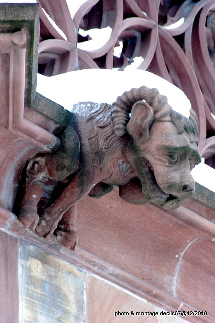 cathédrale ....gargouille