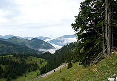 Bregenzerwald - Abstieg von der Kanisfluh