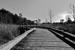 Chemin qui ne mène nulle part