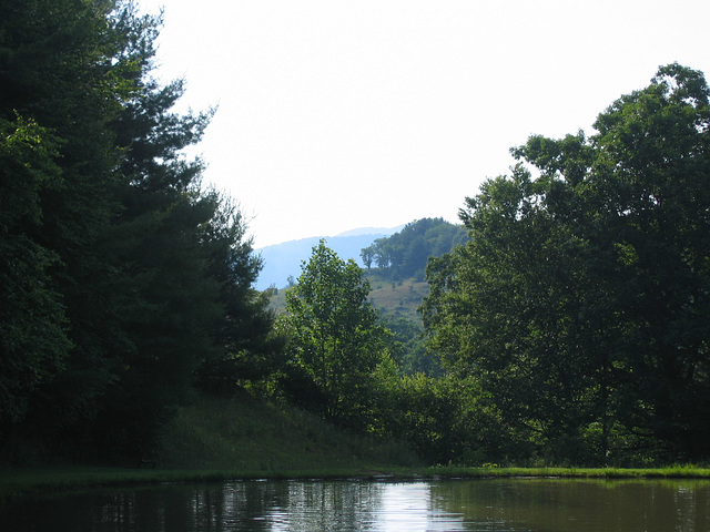 Mountain trees, etc