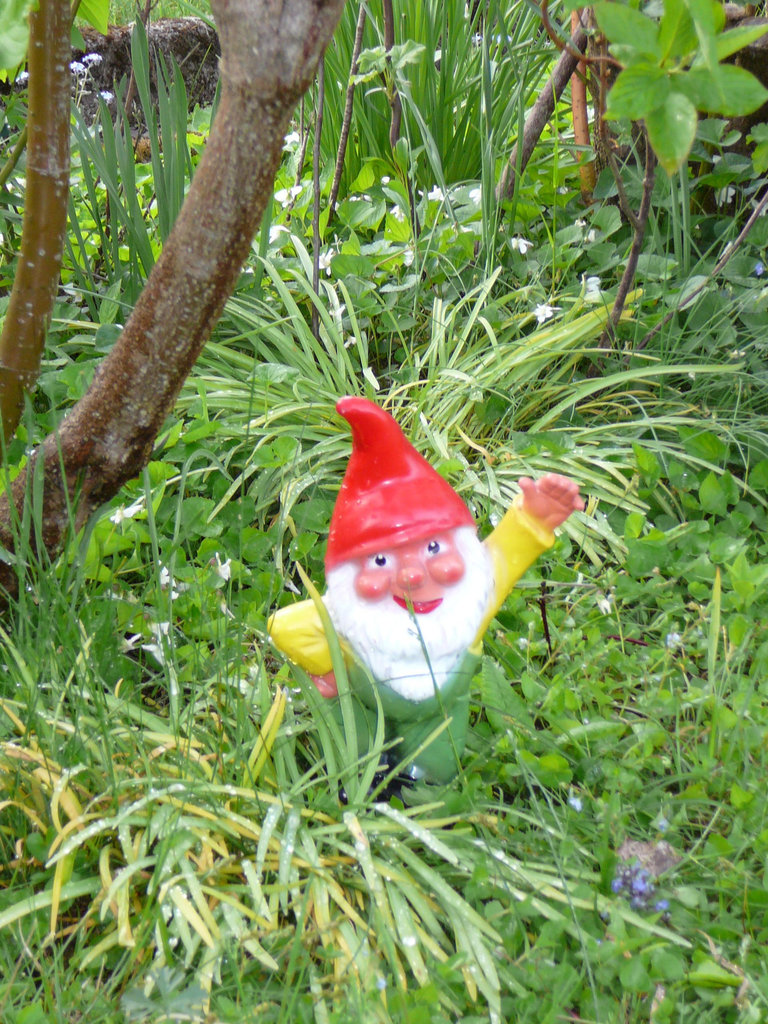 Der Gartenzwerg