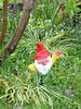 Der Gartenzwerg
