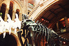 london, natural history museum