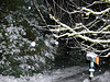 Der Winter hält Einzug - 2010