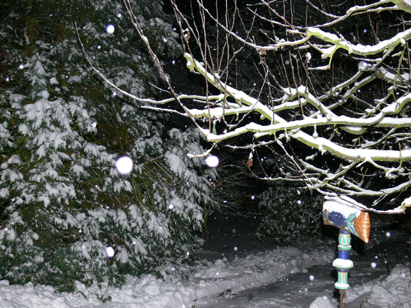 Der Winter hält Einzug - 2010