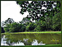 Catfish pond