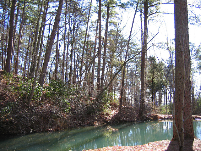 Near the Waterwheel on Berry College Campus - Rome GA ..Picture 1300