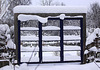 20101220 9079Aw [D~LIP] Schnee-Fenster