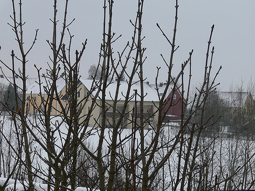 Neujahrsmorgen 2011