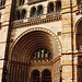 london, natural history museum