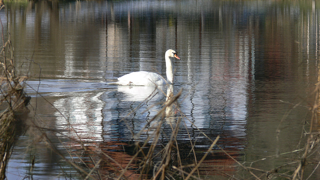 Regental: Am Fluss