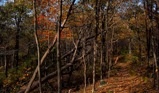 High Point State Park