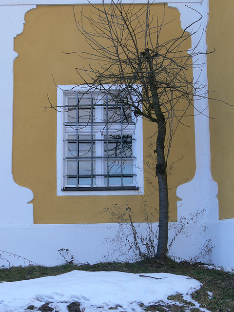 Schlossfenster