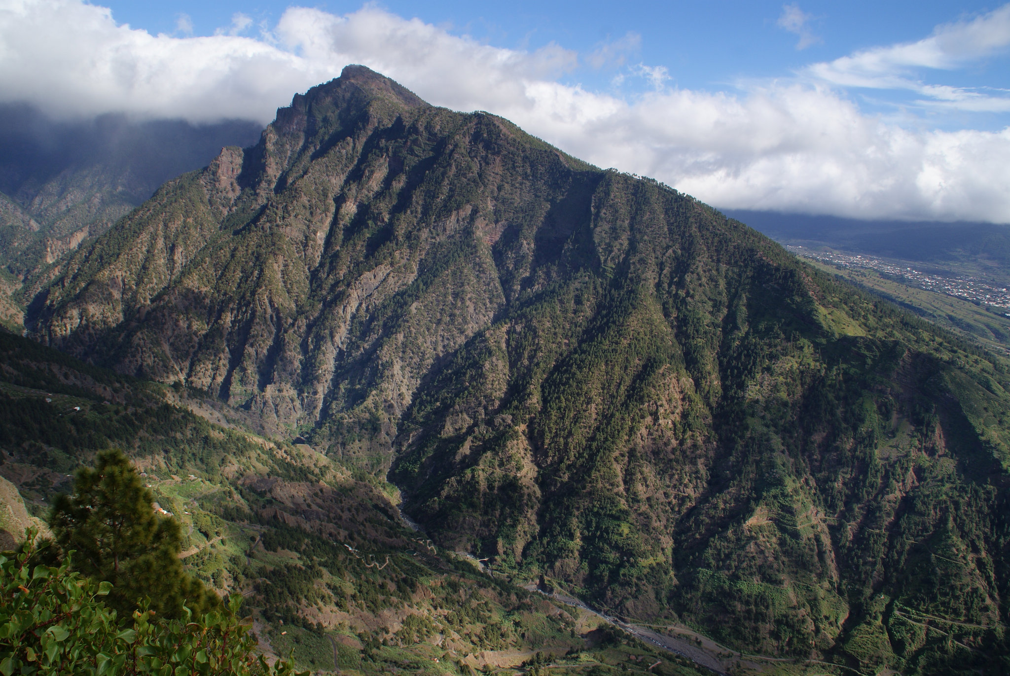 Pico Bejenado