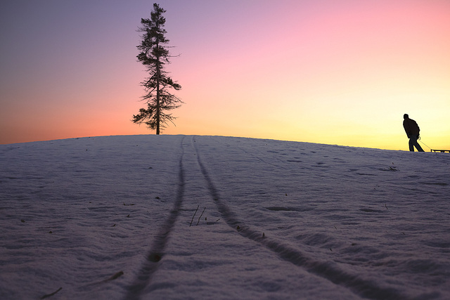 Sisyphe de l'hiver