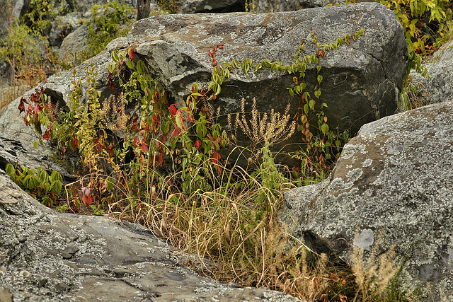 A Cleft in the Rock – Great Falls, Maryland