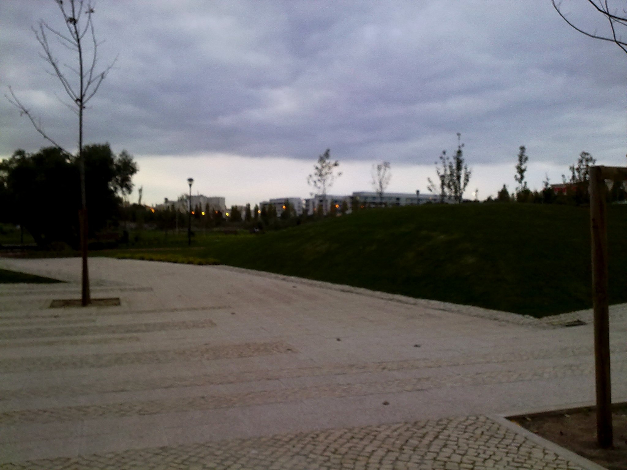 Benfica, nightfall