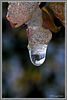 Goutte Eau