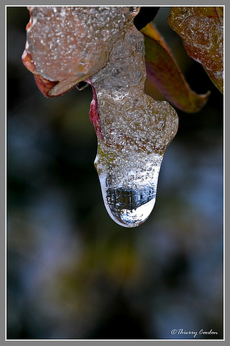 Goutte Eau