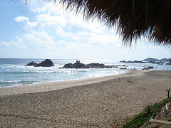 Playa Agustinillo, Oaxaca. Mexique / 18 janvier 2011