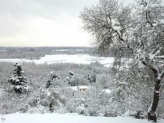 L'étang est sous la neige