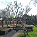 Balustrade to the second level of Prasat Phra Wihan