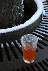 A frosty one A frosty one