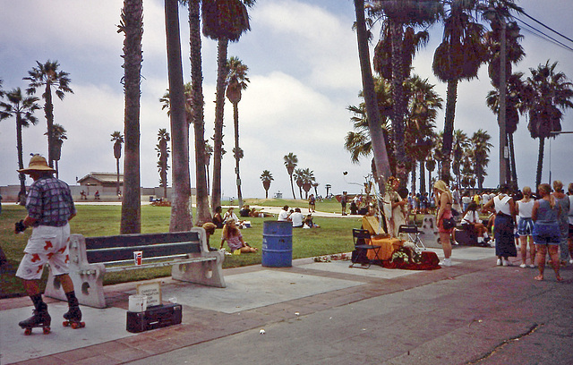 Venice Beach