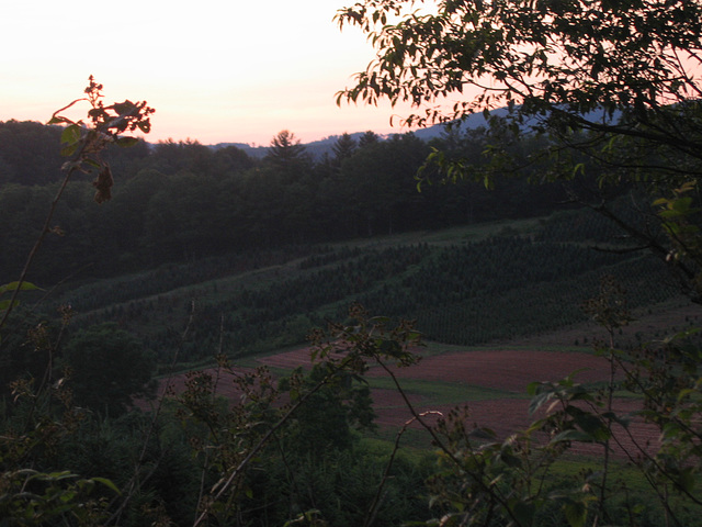 Dusk in the mountains